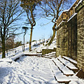 30/01/19  RIVINGTON. Summerhouse In The Snow.