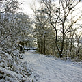 30/01/19  RIVINGTON. Top Path Below the Pigeon Tower.