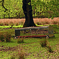 RIVINGTON. Terraced Gardens. Feeding Trough.