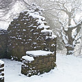 The Ruined Bothy